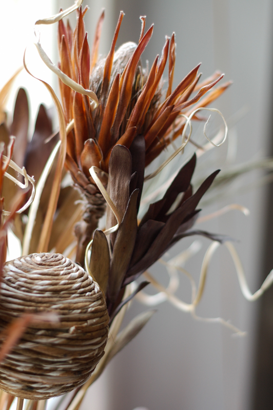 Dried Flowers